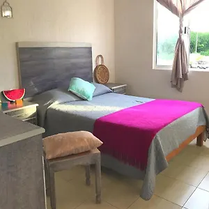 Pitaya Playa Vacacional Playa del Carmen